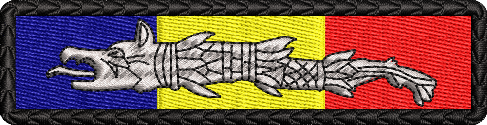 Patch-uri militare  / EMBLEMA CAP DACIC TRICOLOR MOTIVE TRADITIONALE